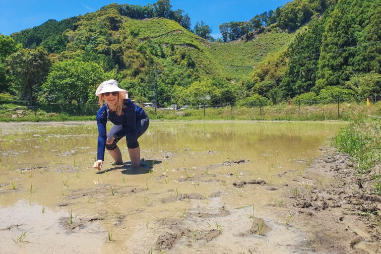 Ruth Aisling rice planting in Japan